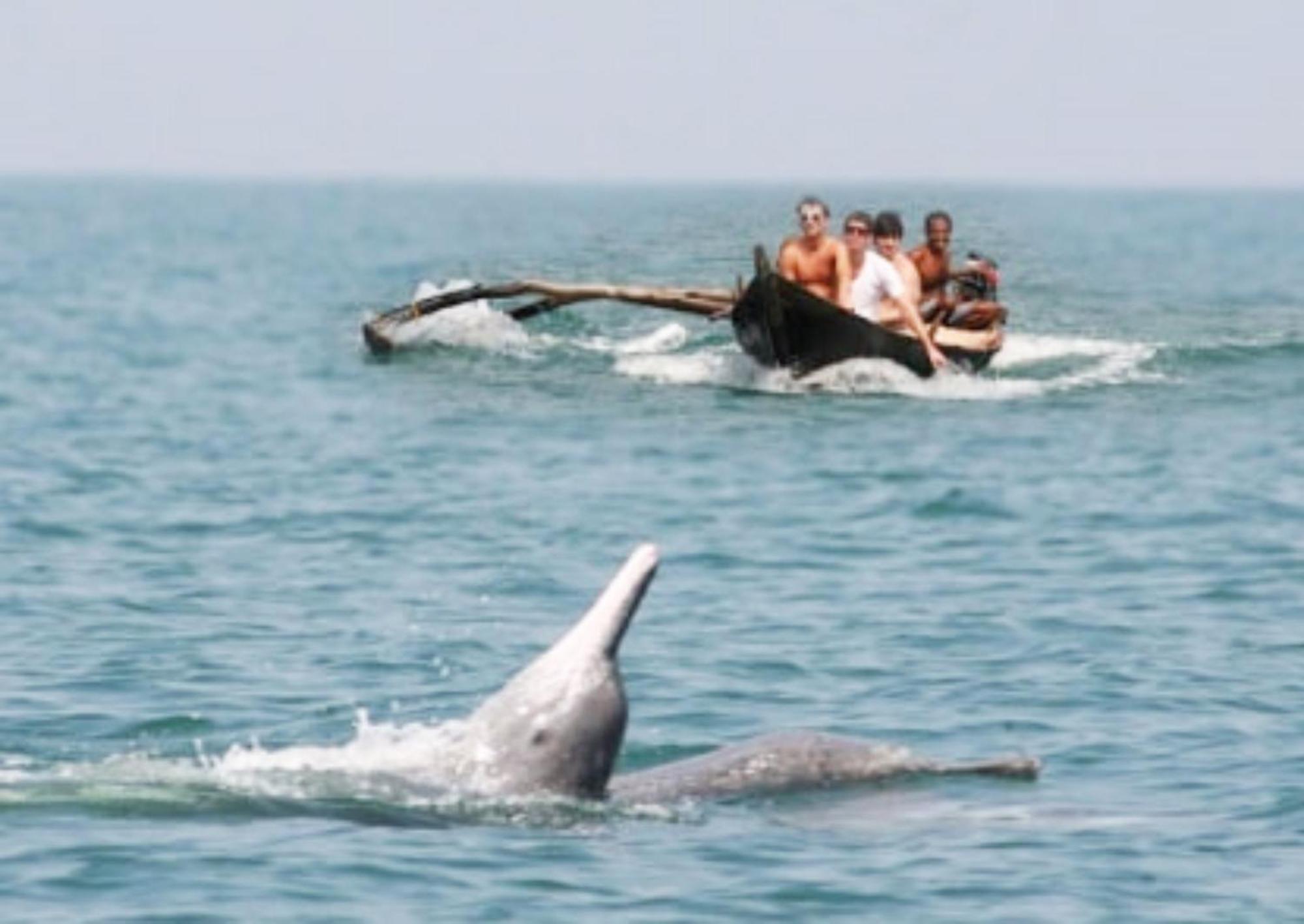 Samant Beach Resort Mālvan 외부 사진
